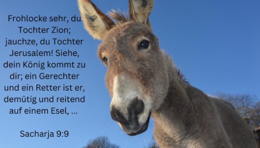 Sacharja 9: 9-17